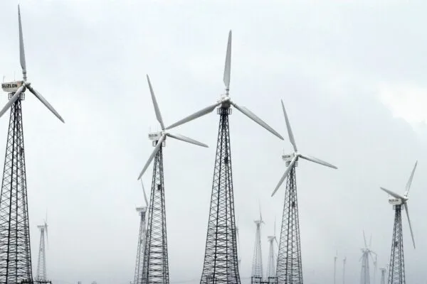 Suzlon Energy stock downgraded to ‘accumulate’ by Geojit; but target price raised to ₹77 from ₹71 2 0 1253311171 Windmills5 0 1679609054965 1749800078340