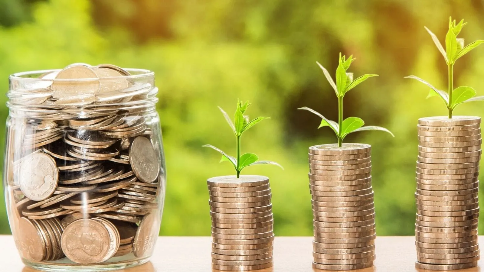 Mutual Fund 5 1740556253791 1749194679261